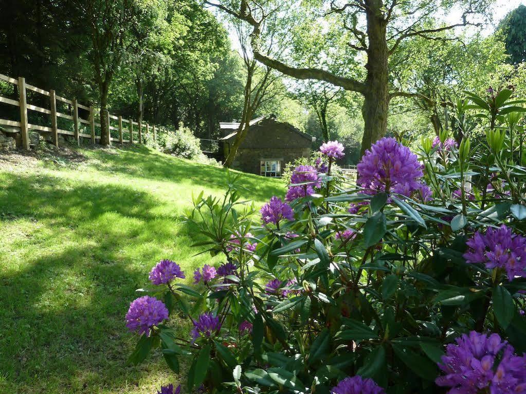 Yha Okehampton Bracken Torホステル エクステリア 写真
